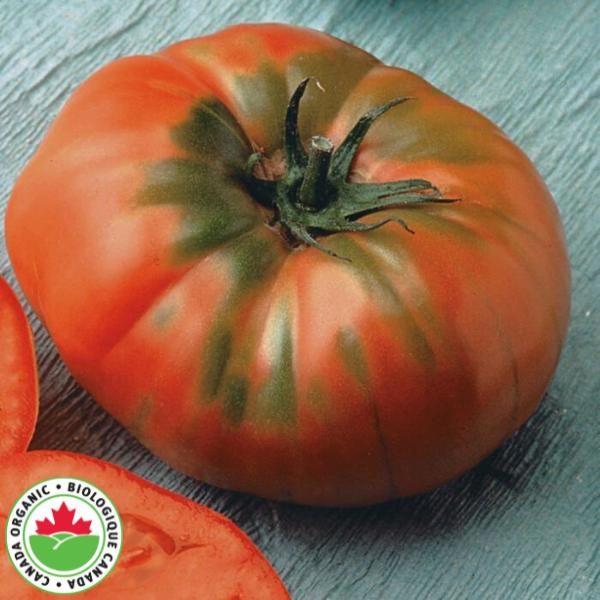 Brandywine Organic Tomato